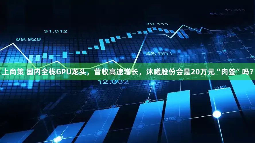 上尚策 国内全栈GPU龙头，营收高速增长，沐曦股份会是20万元“肉签”吗？