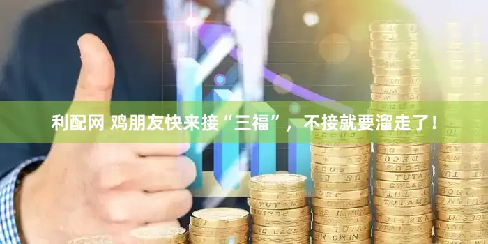 利配网 鸡朋友快来接“三福”，不接就要溜走了！