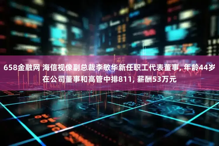 658金融网 海信视像副总裁李敏华新任职工代表董事, 年龄44岁在公司董事和高管中排811, 薪酬53万元